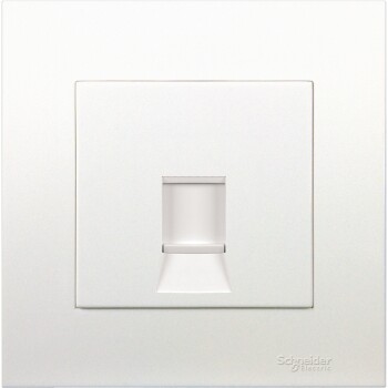 1 Gang Keystone Wallplate with Shutter - Schneider Electric