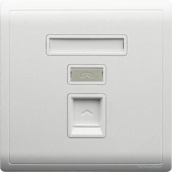 1 Gang Shuttered Keystone Wallplate (without module), White - Schneider Electric