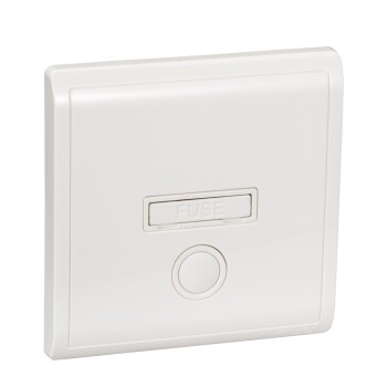 13A Fused connection unit - Schneider Electric