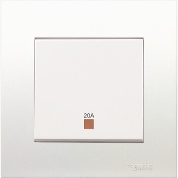 20A 250V 1 Gang Double Pole Switch with Neon and Earth - Schneider Electric