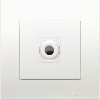 25A 250V Connection Unit - Schneider Electric