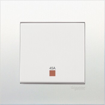 45A 250V Double Pole Switch with Neon - Schneider Electric