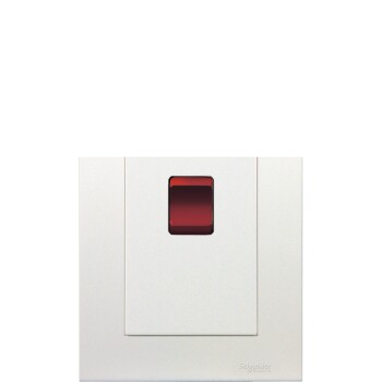 45A 250V Twin Gang Vertical Double Pole Switch with Neon - Schneider Electric