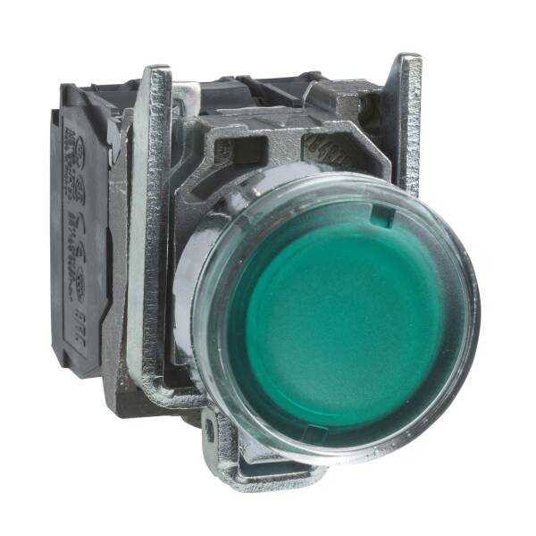 Harmony XB4, Illuminated push button, metal, flush, green, Ø22, spring return, 230...240 V AC, 1 NO + 1 NC - 1