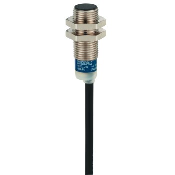 Inductive proximity sensors XS, inductive sensor XS6 M12, L54mm, brass, Sn4mm, 24...240VAC/DC, cable 2 m - Schneider Electric