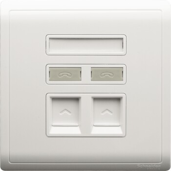 Keystone Wallplate, Actassi, 2 gang, shuttered, without module, white - Schneider Electric