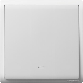 Pieno - 16A 250V - 1 gang 2 way switch with fluorescent locator - Schneider Electric