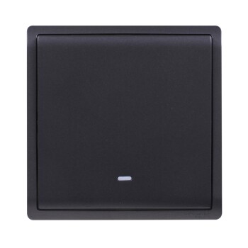 Pieno - 16A 250V - 1 gang 2 way switch with fluorescent locator (MB) - Schneider Electric