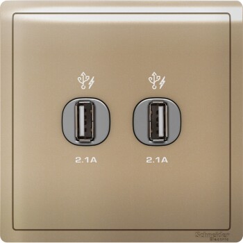 Pieno - 2 x 2.1A USB Charger - Wine Gold - Schneider Electric