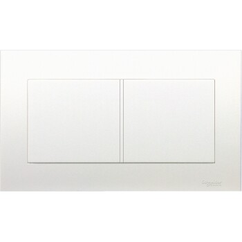 Twin Gang Blank Plate - Schneider Electric